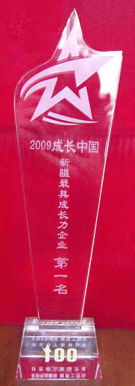 2009成長中國·新疆最具成長力企業(yè)獎(jiǎng)